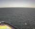 Mein Schiff 5 Fr. 8.5.