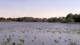 Les Landes-Genusson Fr. 8.5.