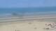 De Panne Fr. 8.5.