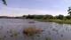 Les Landes-Genusson Fr. 8.5.