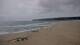 Leucate Sa. 9.5.