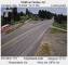 Timber, Oregon So. 10.5.