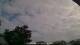 Carrum So. 10.5.