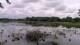 Les Landes-Genusson So. 10.5.