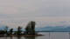 Lindau (Bodensee) So. 10.5.