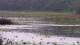 Les Landes-Genusson Mo. 11.5.