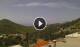 Plátanos Mo. 11.5.