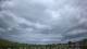 Winterton Mo. 11.5.