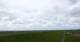 Westerhever Di. 12.5.