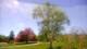 Harriman, New York Di. 12.5.