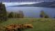 Loch Ness Mi. 13.5.