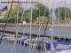 Arbon Mi. 13.5.