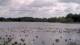 Les Landes-Genusson Mi. 13.5.