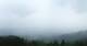Rimbach Mi. 13.5.
