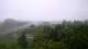 Beaune Do. 14.5.