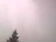 Hagenow Do. 14.5.