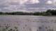Les Landes-Genusson Do. 14.5.