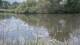 Les Landes-Genusson Do. 14.5.