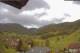 Münstertal/Schwarzwald Do. 14.5.