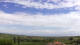 Alonia Do. 14.5.