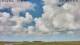 Hallig Hooge Do. 14.5.