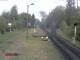 Wernigerode Fr. 15.5.