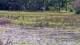 Les Landes-Genusson Fr. 15.5.