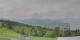 Bregenz Fr. 15.5.
