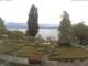 Hagnau am Bodensee Fr. 15.5.