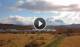 Nationalpark Torres del Paine Fr. 15.5.