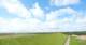 Westerhever Fr. 15.5.