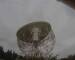Jodrell Bank Observatory Sa. 16.5.