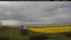 Gollendorf (Fehmarn) Sa. 16.5.