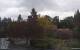 Son en Breugel So. 17.5.