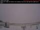 Yorkton So. 17.5.