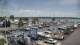 Havre De Grace, Maryland So. 17.5.