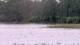 Les Landes-Genusson So. 17.5.