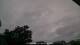 Carrum So. 17.5.