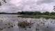 Les Landes-Genusson So. 17.5.