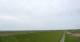 Westerhever So. 17.5.