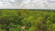 Beelitz So. 17.5.