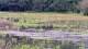 Les Landes-Genusson Mo. 18.5.