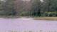 Les Landes-Genusson Mo. 18.5.