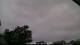 Carrum Mo. 18.5.