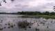 Les Landes-Genusson Mo. 18.5.
