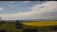 Gollendorf (Fehmarn) Mo. 18.5.