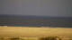 Borkum Di. 19.5.