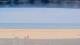 Henne Strand Di. 19.5.