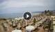 Stalida (Kreta) Di. 19.5.