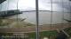 Brightlingsea Di. 19.5.